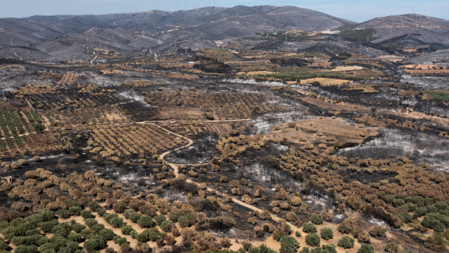 Incêndios na Grécia são os maiores já registrados na União Europeia