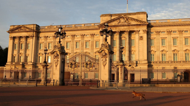 Homem detido por subir no estábulo do Palácio de Buckingham