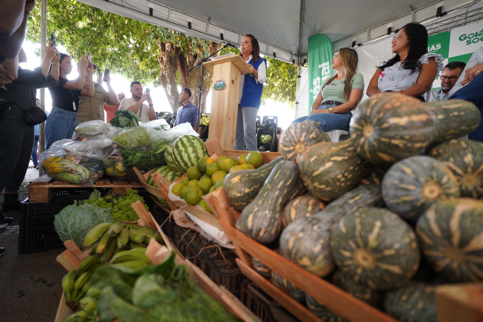 Primeira-dama Gracinha Caiado entrega produção da agricultura familiar a instituições sociais de Formosa 