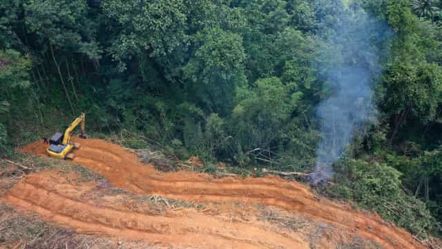 PF faz operação contra suspeitos de maior desmatamento da amazônia