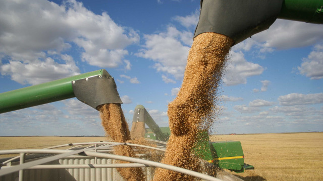 SBT prepara estreia de programa sobre agronegócio para disputar público aos domingos