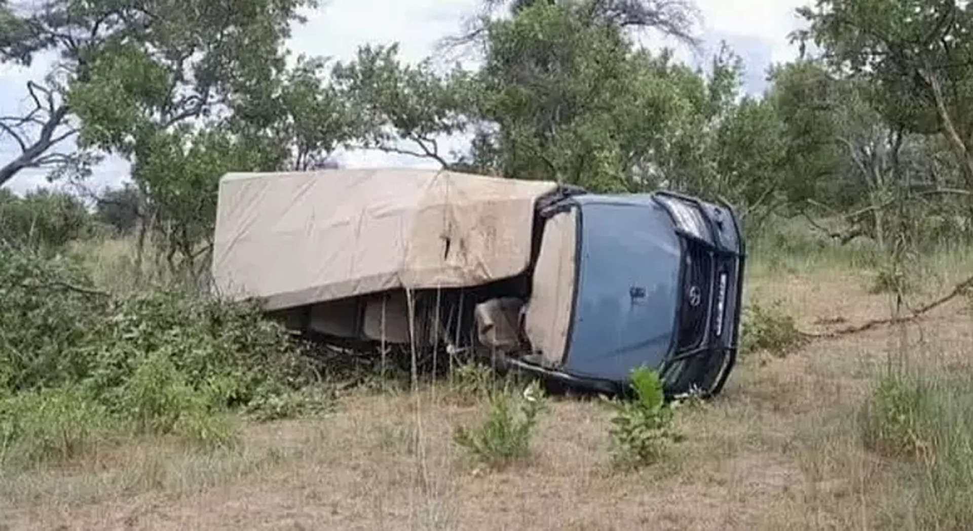 Elefante mata turista e fere cinco durante safári; vídeo mostra o ataque