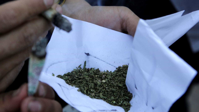 EUA devem reclassificar maconha como droga menos perigosa, diz agência