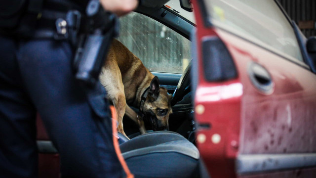 Cão farejador da PM acha fosso que era esconderijo de drogas no centro de SP