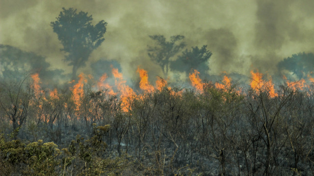 Incêndio atinge parte alta do Parque Nacional do Itatiaia, no RJ