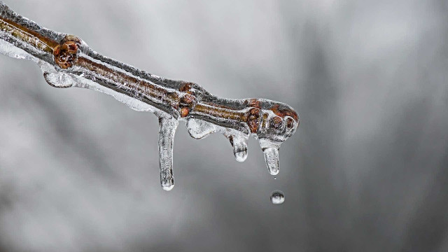 Massa de ar frio provoca queda de temperatura e geada no Sul do país