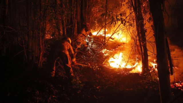 Polícia prende 13 pessoas por provocarem incêndio florestal na Grécia