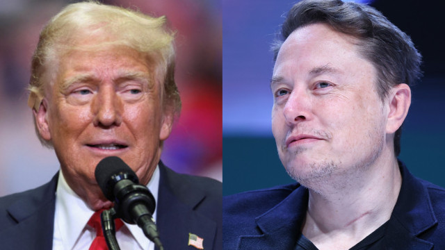 Trump quer convidar Musk para governo; milionário responde com meme