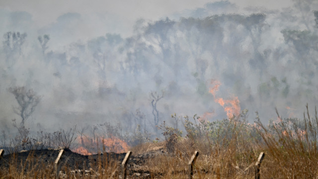 Governo Lula amplia multas para incêndios ilegais em meio a seca histórica