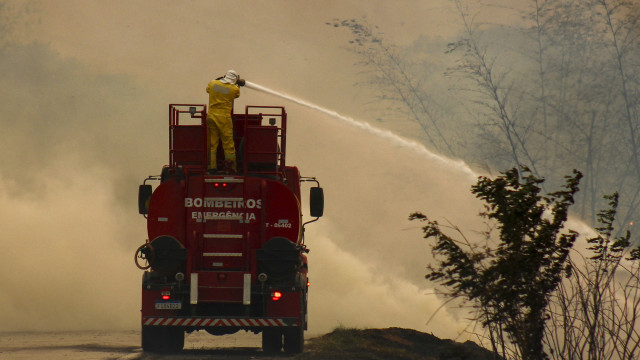 Fogo no estado de SP consumiu até agosto área equivalente a três vezes a capital paulista