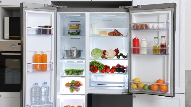Mofo na geladeira; especialistas revelam onde ele pode estar escondido