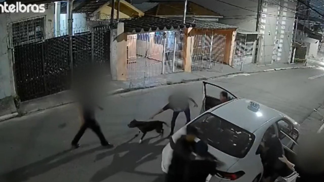 Mulher vê família ser assaltada, vai em casa e solta seu pitbull; vídeo