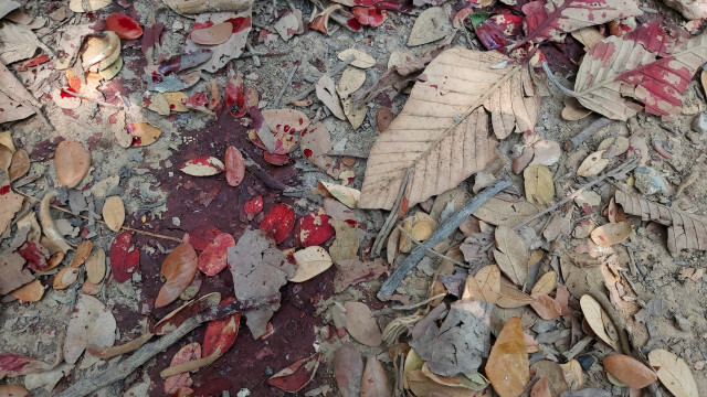 Turista argentino é baleado no Rio após entrar por engano no Morro dos Prazeres