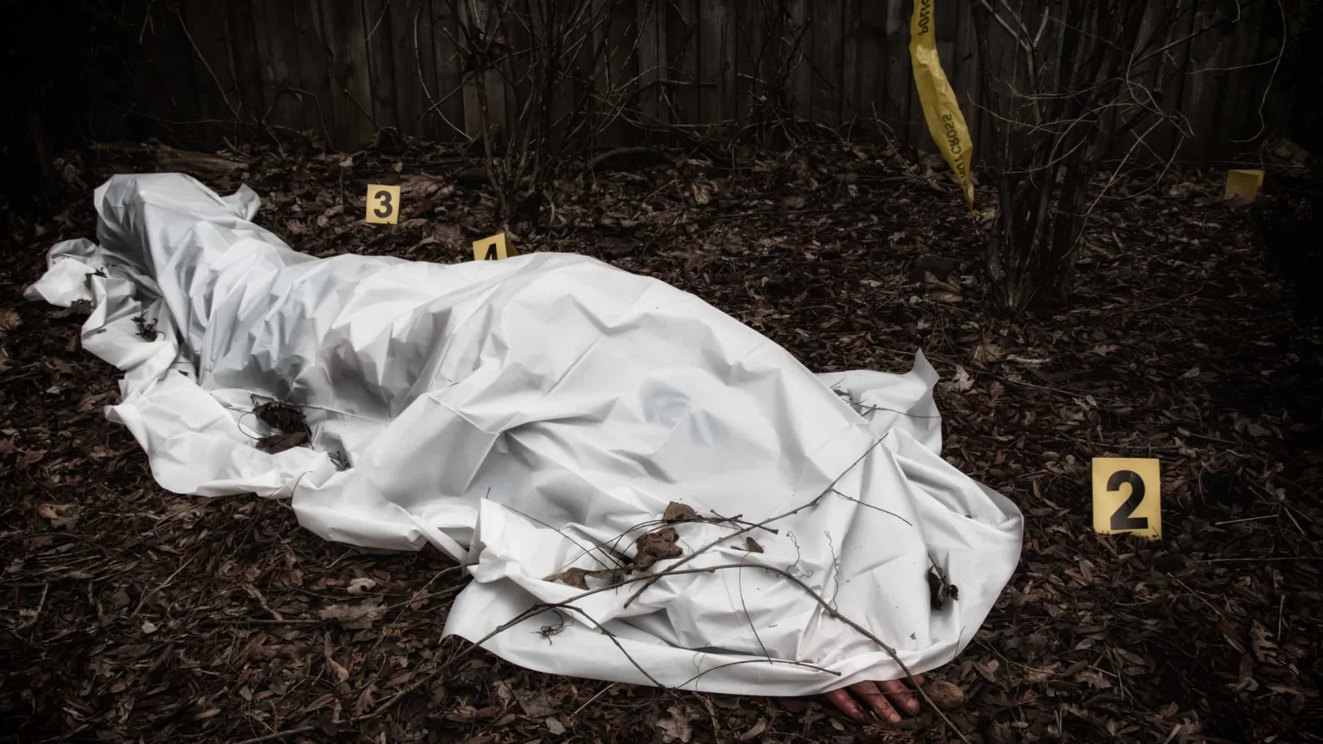 Empresário que estava desaparecido é encontrado morto em cova rasa no MA