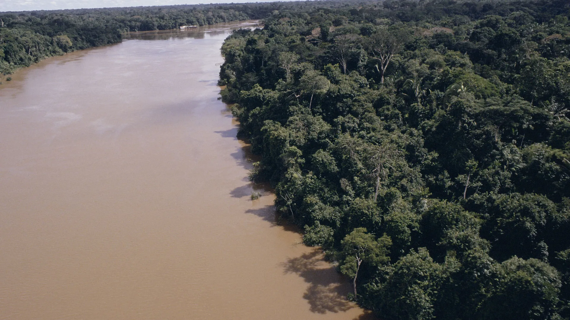Projeto liderado por brasileira mapeia conexões entre água no ar, nos rios e no solo da amazônia
