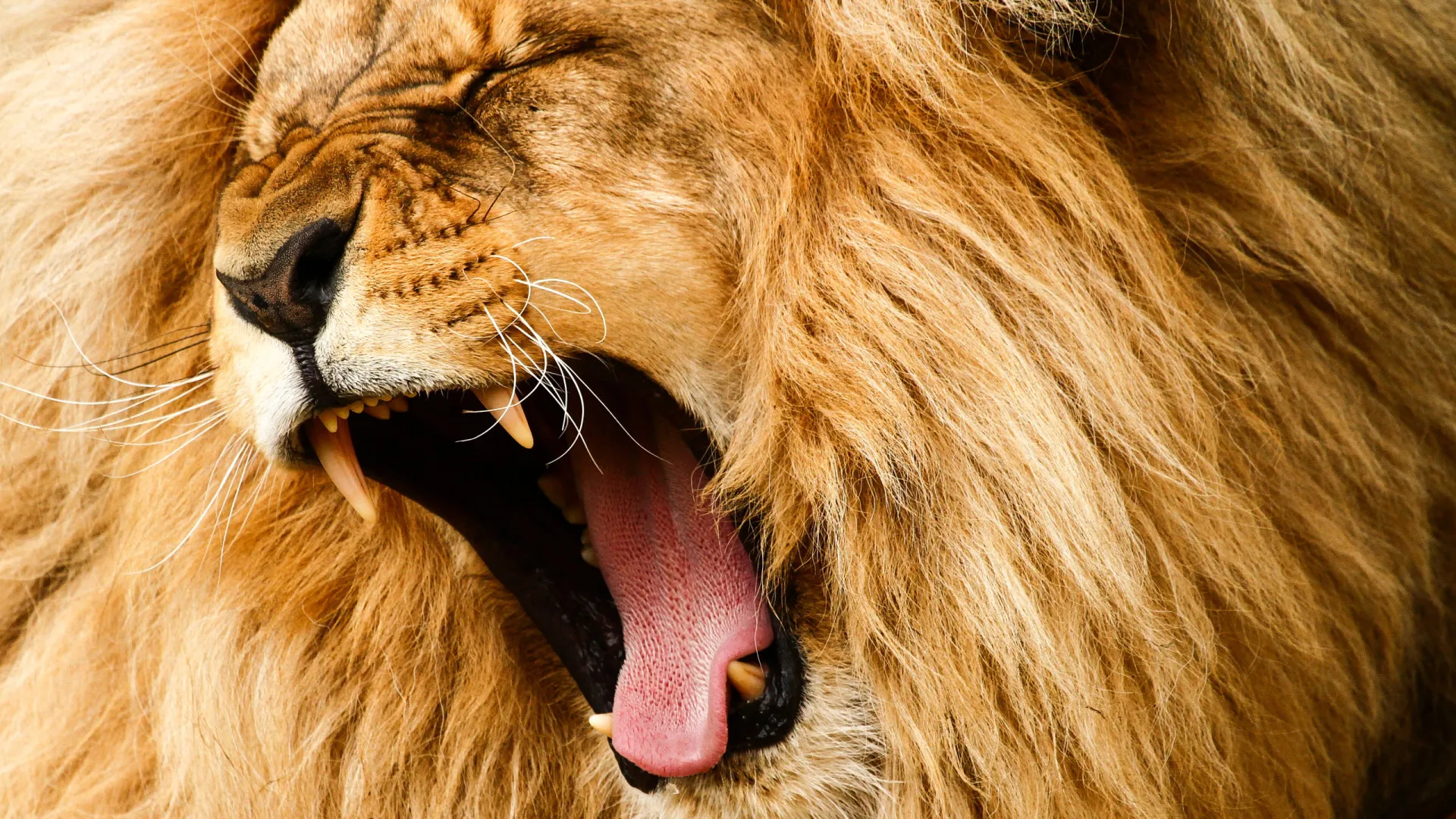 Governo arrecada mais de R$ 170 bilhões em dois anos com novas receitas e mudanças legislativas