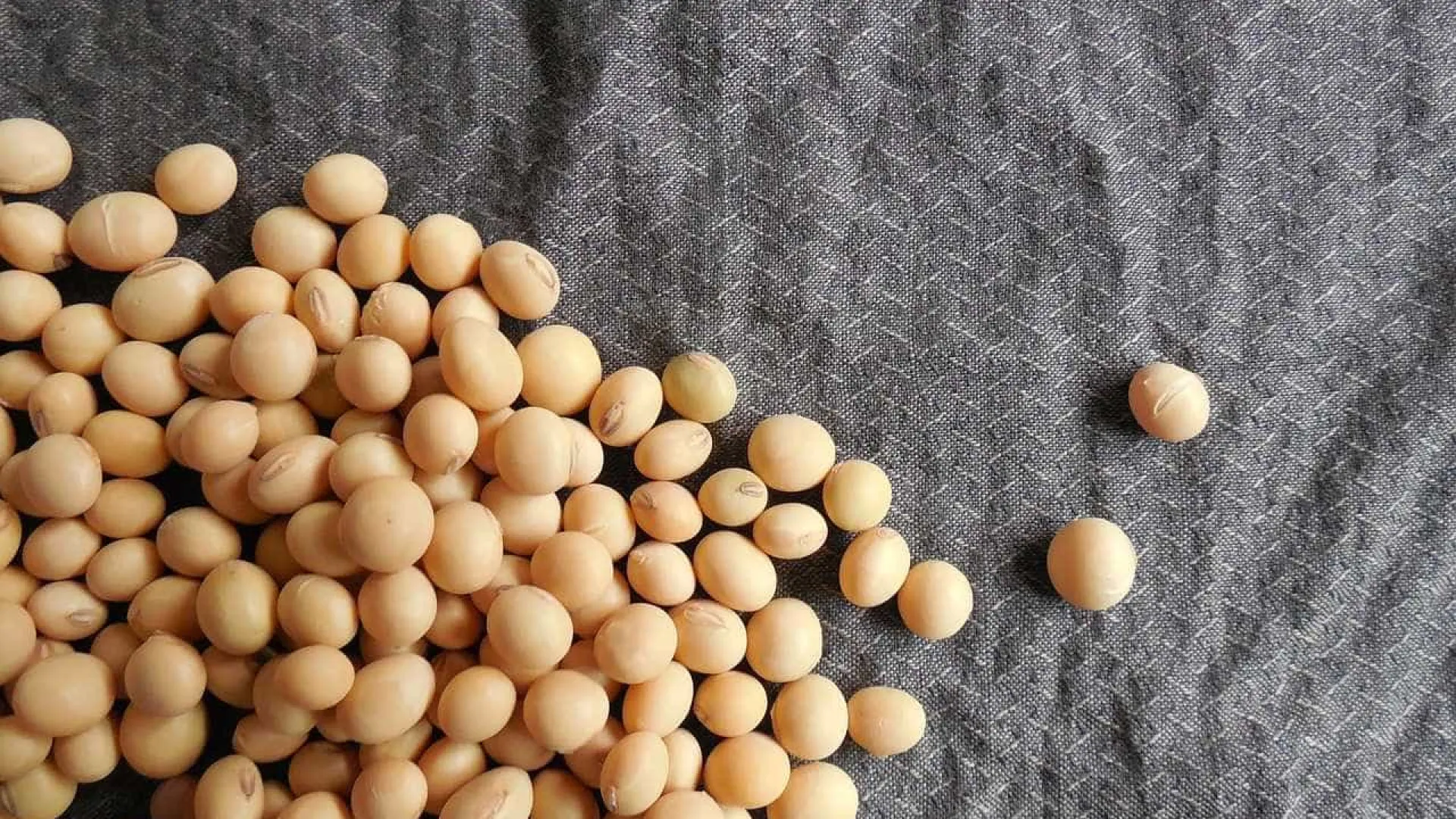 Líder na produção global, Brasil aumenta uso de agrotóxicos na soja, diz estudo