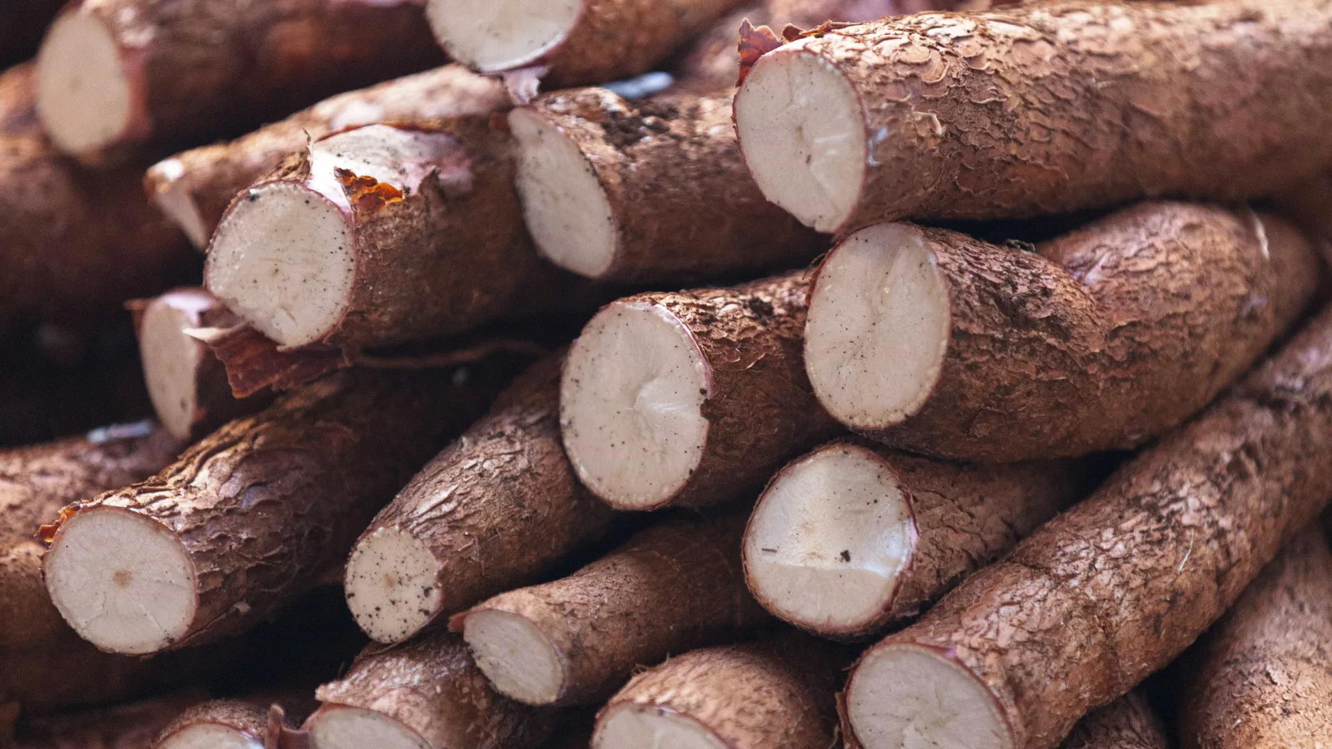 Ovo e mandioca pressionam inflação de festas juninas em 2025