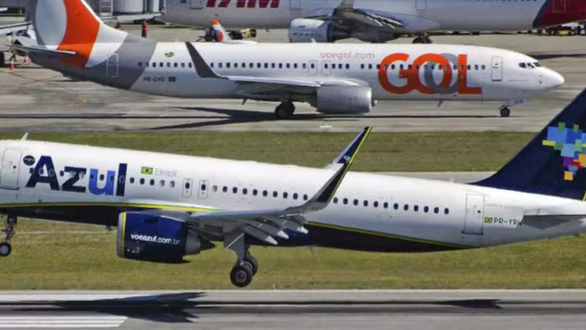 Procon e especialistas alertam governo sobre riscos de fusão entre Gol e Azul