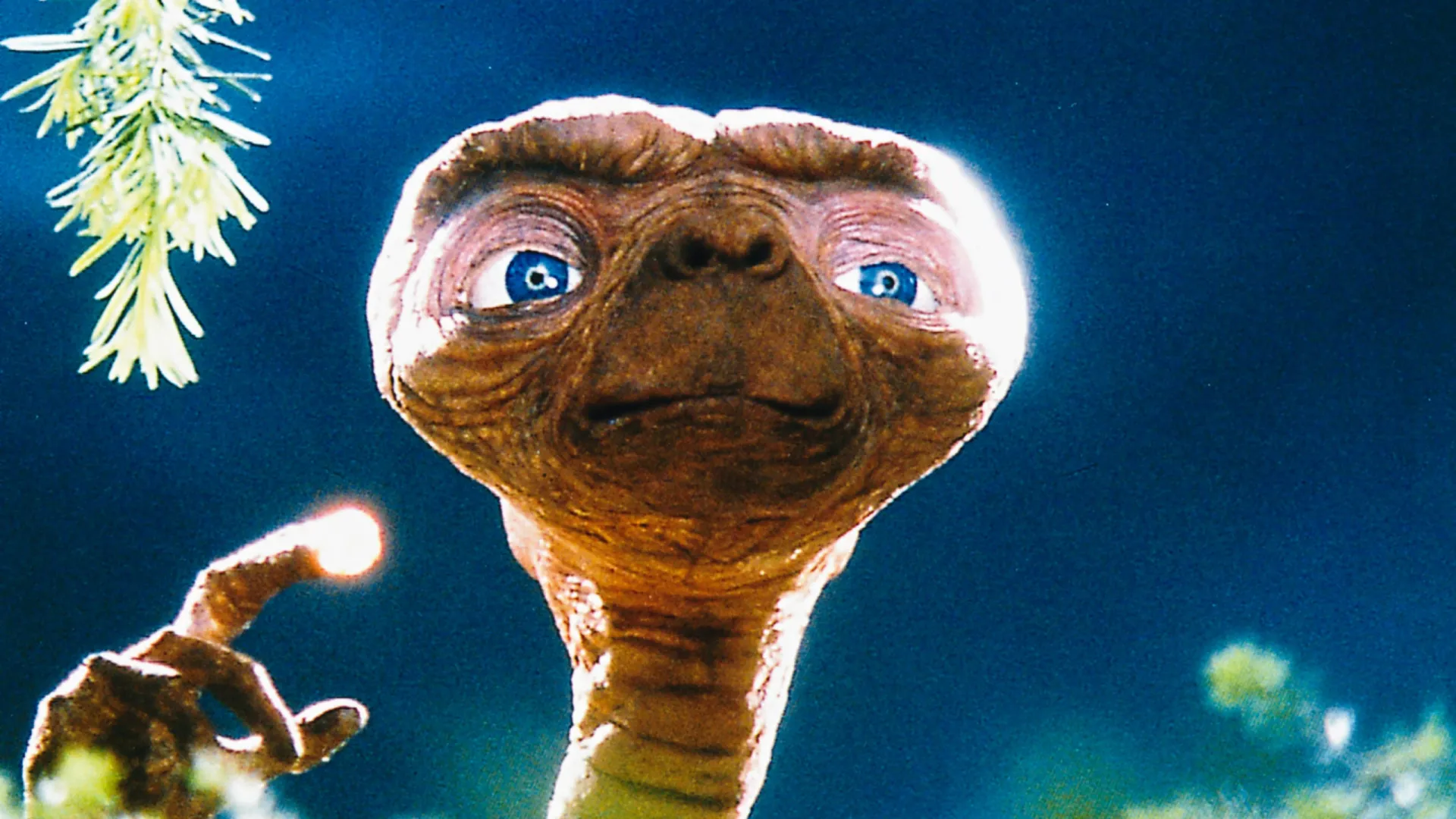 Os melhores filmes de alienígenas do mundo (e do espaço)