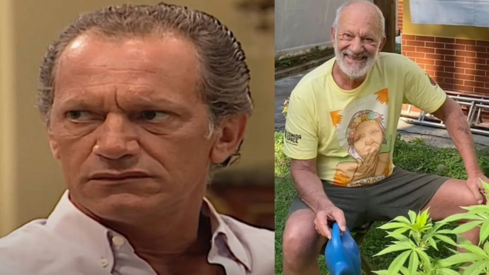 Lembra dele? Ex-ator da Globo exibe plantação de maconha; vídeo
