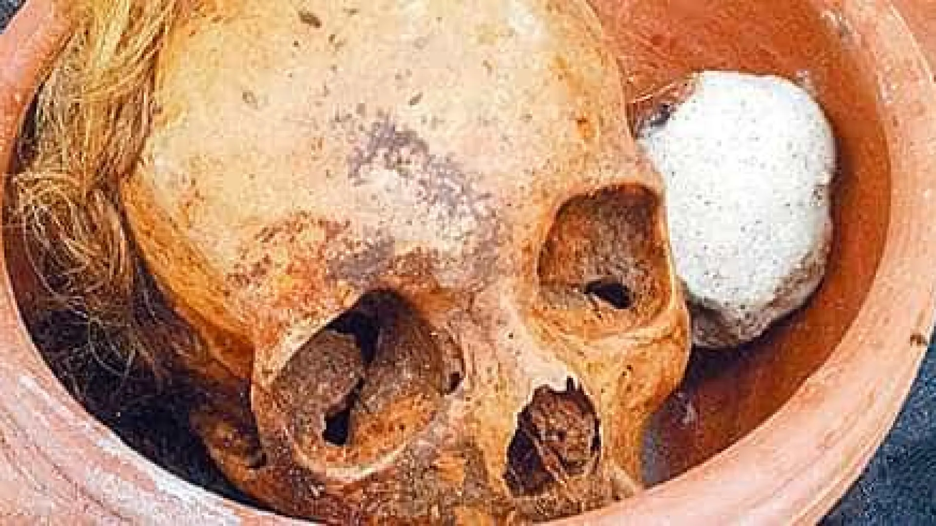 Polícia acha mais de 12 crânios e ossos humanos em apartamento de São Paulo