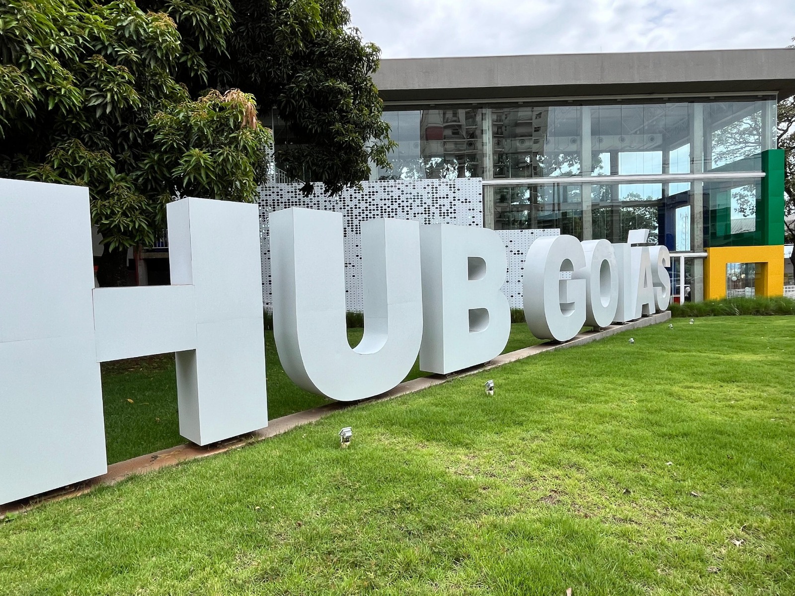 Governo de Goiás lança edital que busca tecnologia para ampliar transplantes de córnea