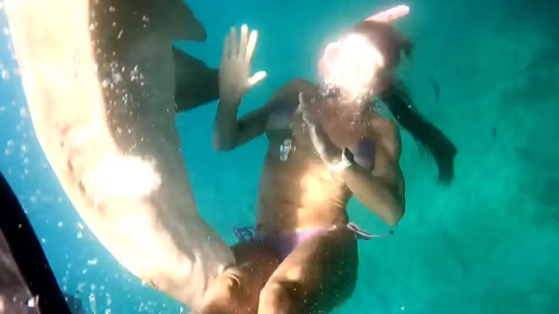 Vídeo mostra mordida de tubarão em turista em Fernando de Noronha