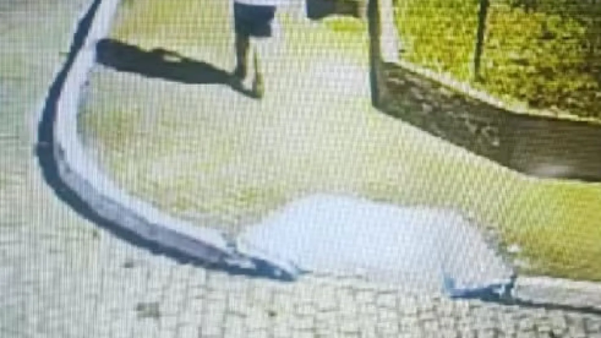 Idosa de 77 anos é estuprada por adolescente em Casimiro de Abreu