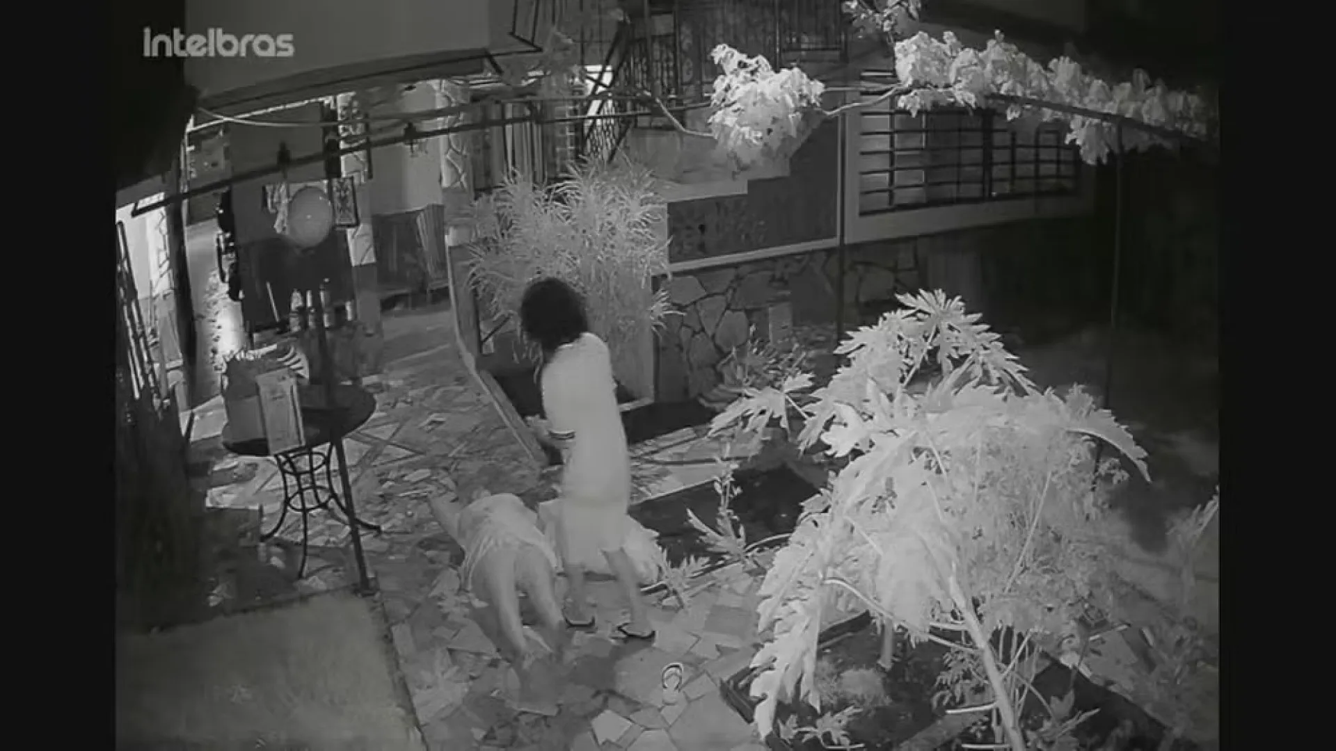 Idosa é espancada por hóspede embriagada em pousada do DF