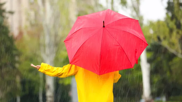 Não gosta de chuva 7 dicas para melhorar o seu humor em dias cinzentos