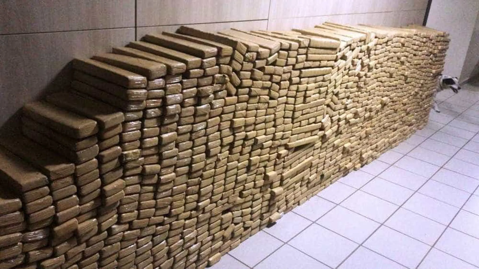 PM apreende 48 toneladas de maconha em bunker no Complexo da Maré, no Rio