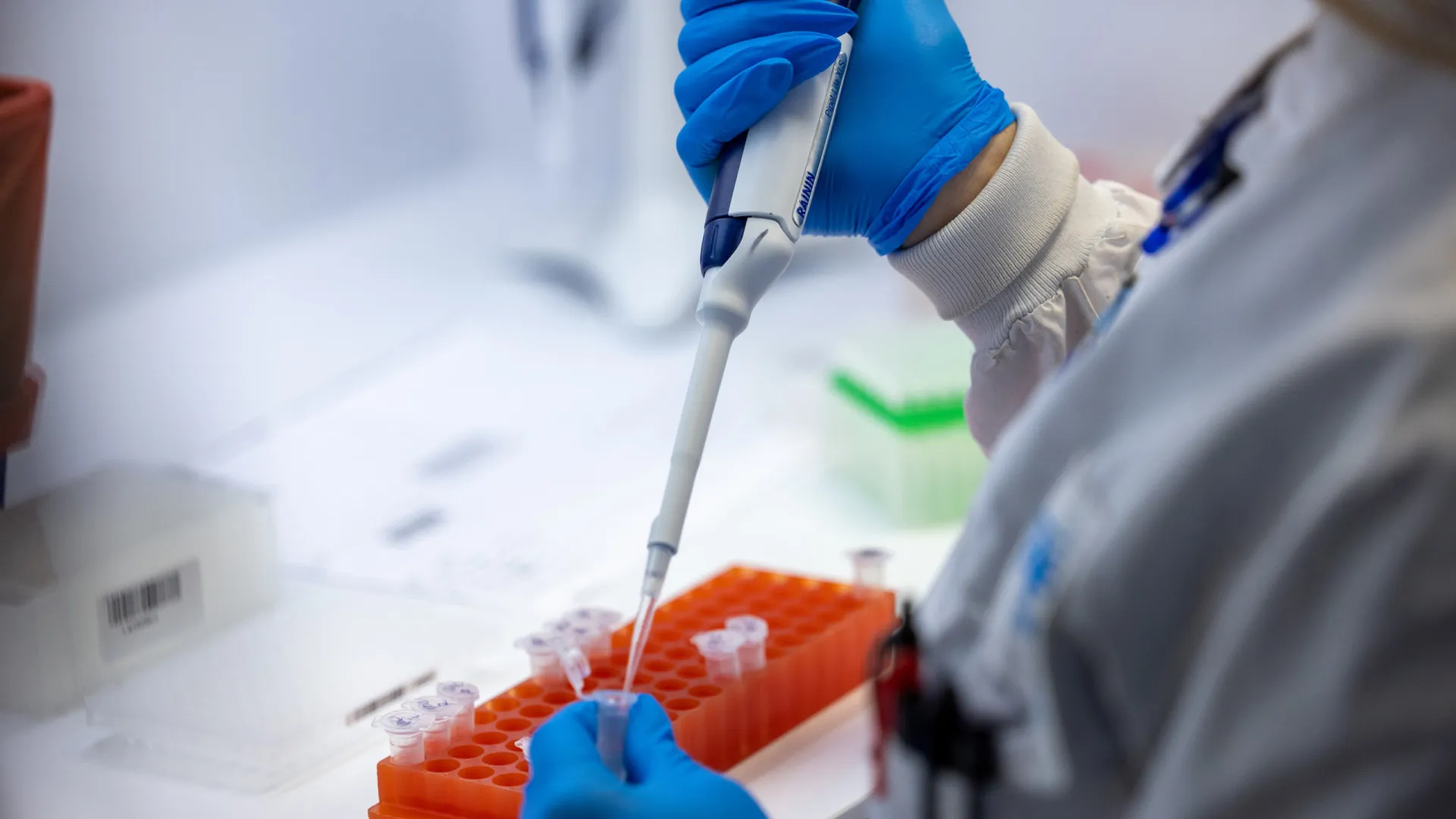 Variante BA.3.2 da Covid oferece baixo risco, mas vigilância deve continuar, dizem especialistas