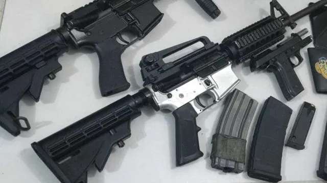 Polícia encontra 26 fuzis em caminhão com carga de ração animal