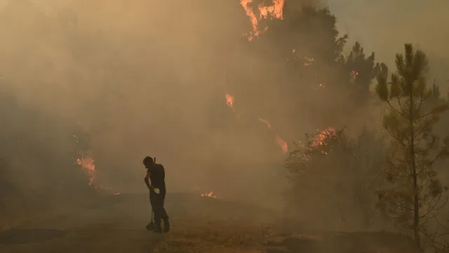 Incêndio atinge floresta e afeta rodovia e trens perto de Paris